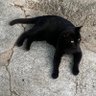 Фото профиля barros et miau
