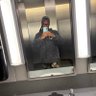 Simpl3am's profile picture