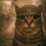 Profilbild von rRael