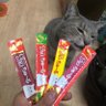 ニャン🐈いのちの党(旧れいわ)オーナーズP仲間入り profil fotoğrafı