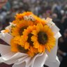 Noor alhuda profil fotoğrafı