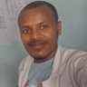 Profilbild von Mogesu Bilew