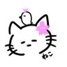 ねこひよこ初級's profile picture