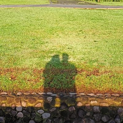 ini aku's profile picture
