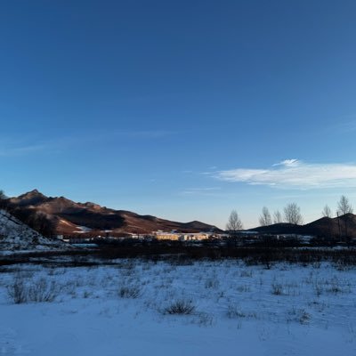 清水's profile picture