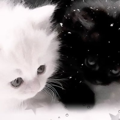 yunigunya's profile picture