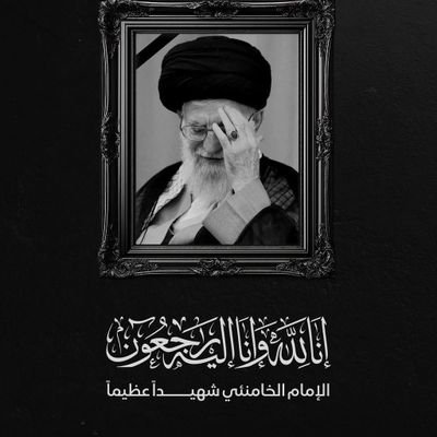 alshahed313's profile picture