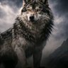 🚬 Lupo 🐺 profil fotoğrafı