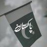 Profilbild von Tayyaba Mazhar