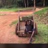 Profilbild von Levi