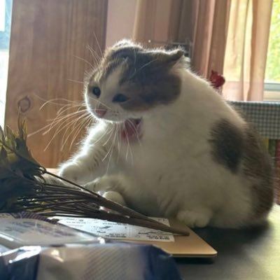 pr1tend7758's profile picture