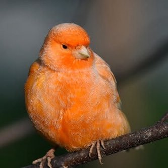 unf28c's profile picture
