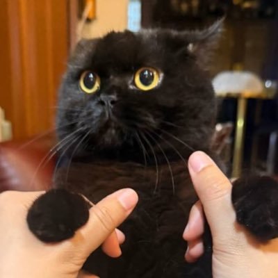 suzu's profile picture