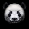 Фото профиля leon Liu