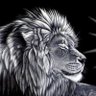 Carlos Batista's profile picture