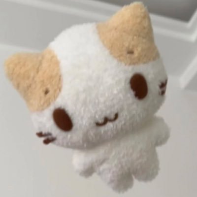 주또's profile picture