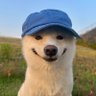 Ying_jun's profile picture