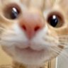 hey put 🌻 profil fotoğrafı