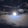 northpole_star's profile picture