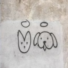 tacojib's profile picture