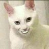 🟩🟨🟦 OTIMISTA 的头像