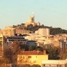 Le petit marseillais's profile picture