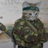 ☭Camarada Miau⚒'s profile picture
