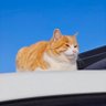 wsx789's profile picture