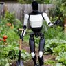 AI_Farming's profile picture