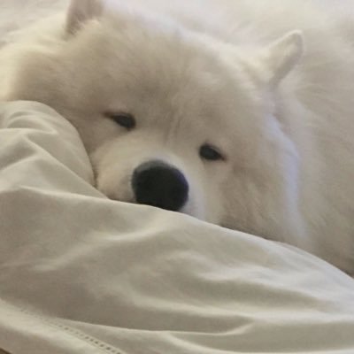 MMMMMMMiillkim's profile picture