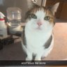 Seth  Fernau's profile picture