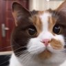 zip's profile picture