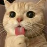 XUN's profile picture