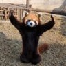 埃塞俄比亚饥民 profil fotoğrafı