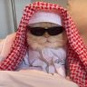 Mie Ayam Komplit profil fotoğrafı