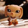 Nicholette profil fotoğrafı