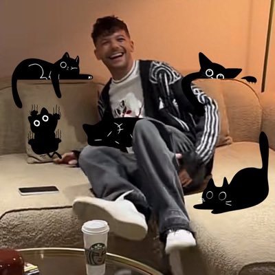 cats and louis🐈‍⬛🍋's profile picture