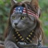 Rambo Nevada's profile picture
