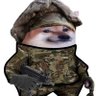 Фото профиля SuperDave