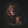 Фото профиля Farhan Fareed