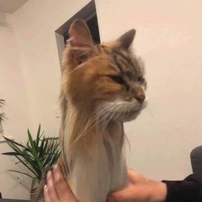 kittyclacks's profile picture