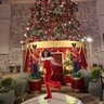 Фото профиля Christina America Petrous