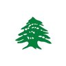 M.baydoun 的头像