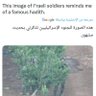 Profilbild von شام الإسلام