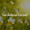 Amal Farouk's profile picture