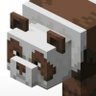 xy w's profile picture