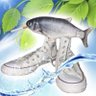 Peixe Fumante 的头像