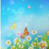 Фото профиля Sunny Days
