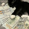 Фото профиля Sylver 💸