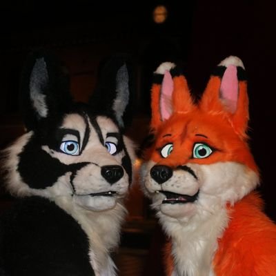 DoonTheFox's profile picture